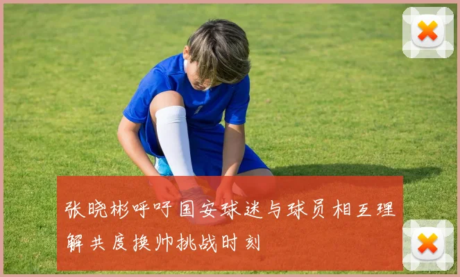 张晓彬呼吁国安球迷与球员相互理解共度换帅挑战时刻