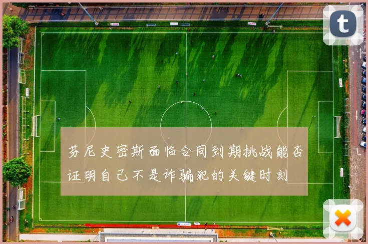 芬尼史密斯面临合同到期挑战能否证明自己不是诈骗犯的关键时刻