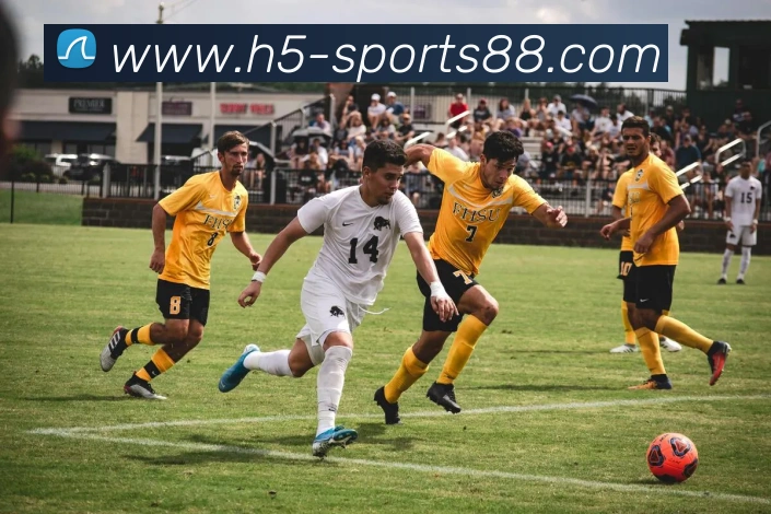 多媒体互动体验